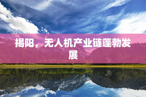 揭阳，无人机产业链蓬勃发展