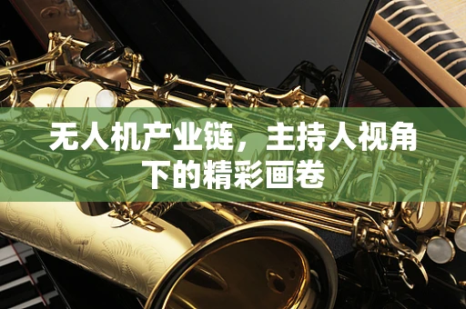 无人机产业链，主持人视角下的精彩画卷