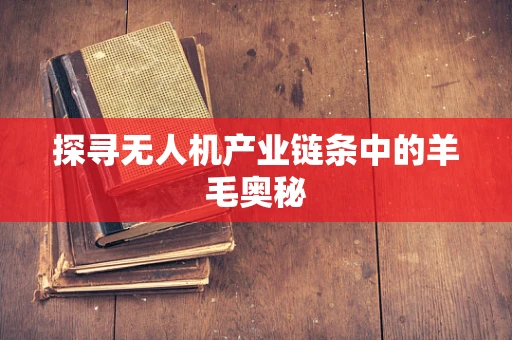 探寻无人机产业链条中的羊毛奥秘