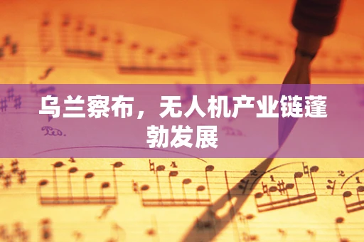 乌兰察布，无人机产业链蓬勃发展