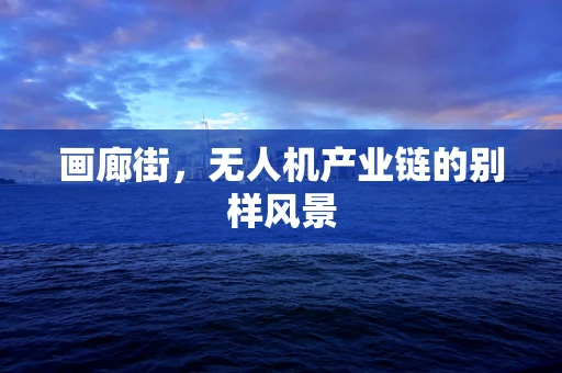 画廊街，无人机产业链的别样风景