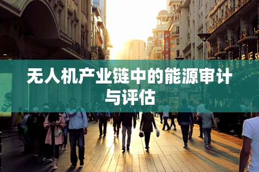 无人机产业链中的能源审计与评估