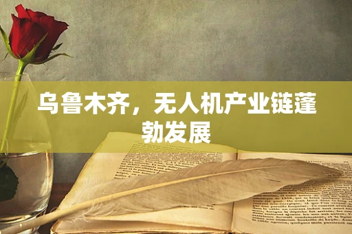 乌鲁木齐，无人机产业链蓬勃发展