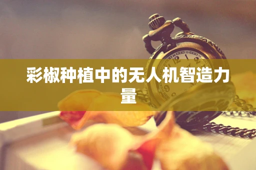 彩椒种植中的无人机智造力量