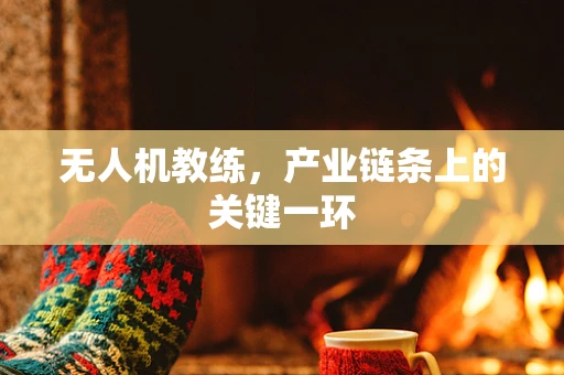 无人机教练，产业链条上的关键一环