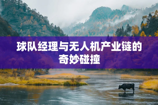 球队经理与无人机产业链的奇妙碰撞