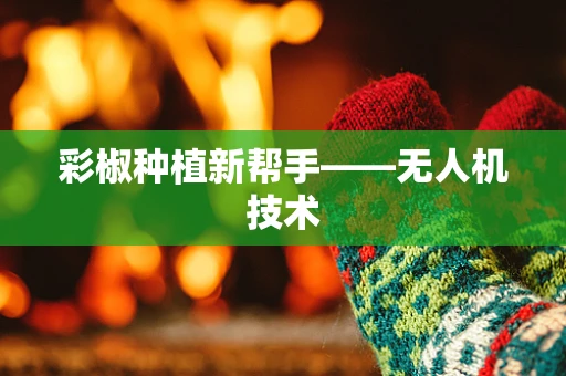 彩椒种植新帮手——无人机技术