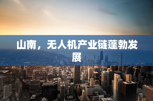 山南，无人机产业链蓬勃发展