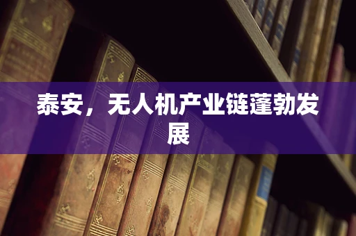 泰安，无人机产业链蓬勃发展