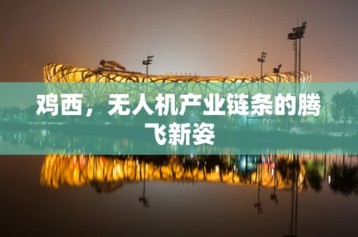 鸡西，无人机产业链条的腾飞新姿