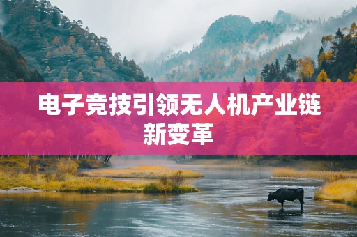 电子竞技引领无人机产业链新变革
