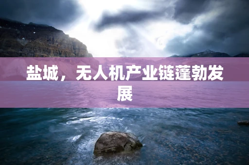 盐城，无人机产业链蓬勃发展