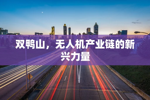 双鸭山，无人机产业链的新兴力量