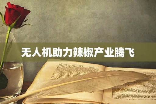无人机助力辣椒产业腾飞