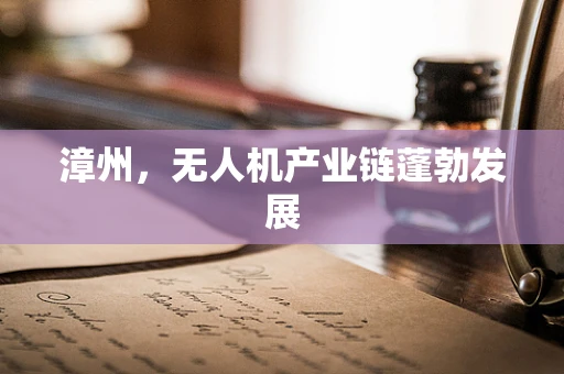 漳州，无人机产业链蓬勃发展
