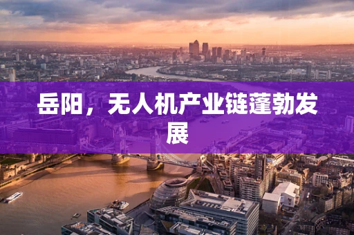 岳阳，无人机产业链蓬勃发展