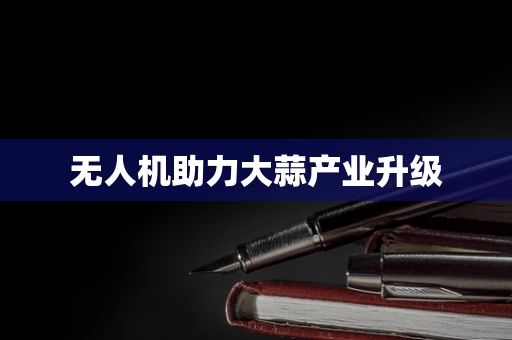 无人机助力大蒜产业升级