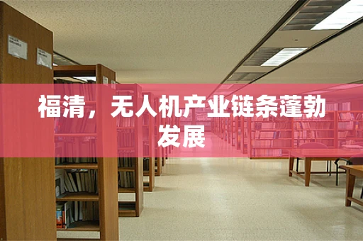 福清，无人机产业链条蓬勃发展