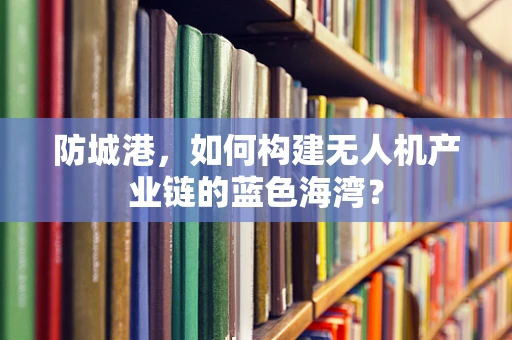 防城港，如何构建无人机产业链的蓝色海湾？