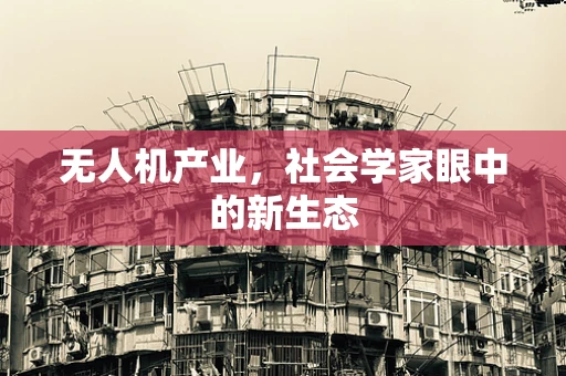 无人机产业，社会学家眼中的新生态