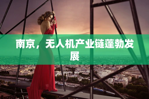 南京，无人机产业链蓬勃发展