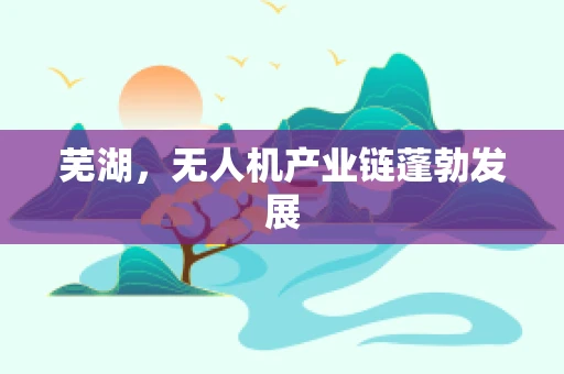 芜湖，无人机产业链蓬勃发展