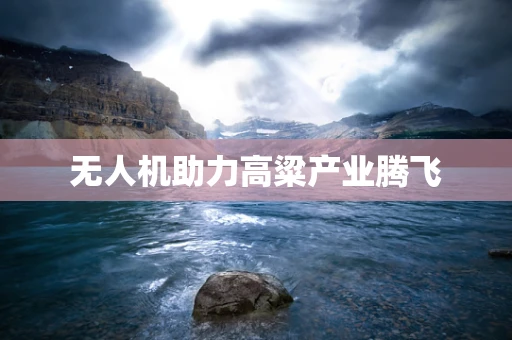 无人机助力高粱产业腾飞