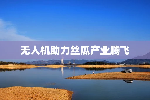 无人机助力丝瓜产业腾飞