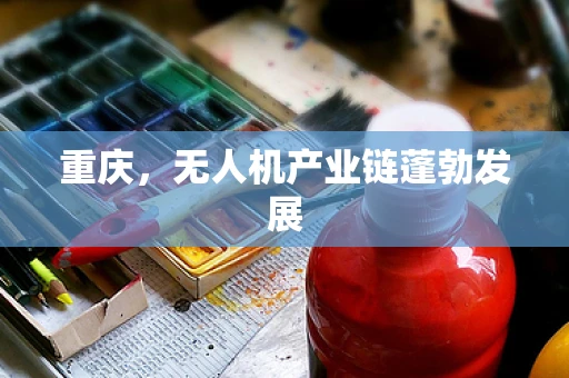 重庆，无人机产业链蓬勃发展