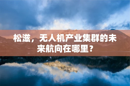 松滋，无人机产业集群的未来航向在哪里？