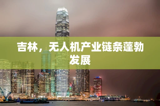吉林，无人机产业链条蓬勃发展