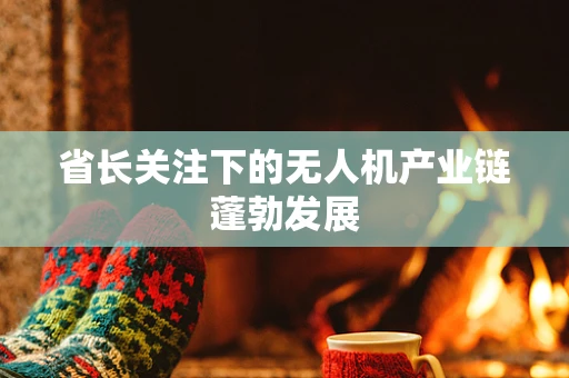 省长关注下的无人机产业链蓬勃发展