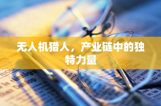 无人机猎人，产业链中的独特力量