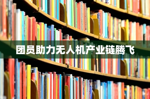 团员助力无人机产业链腾飞