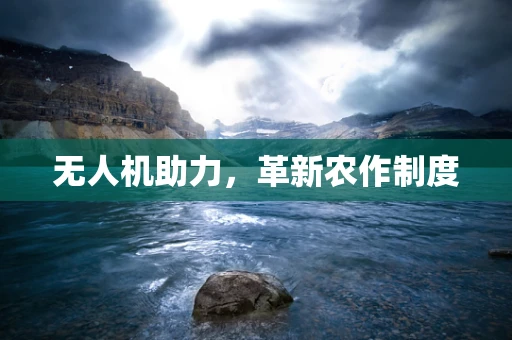 无人机助力，革新农作制度