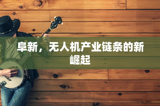 阜新，无人机产业链条的新崛起