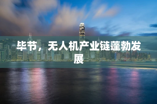 毕节，无人机产业链蓬勃发展