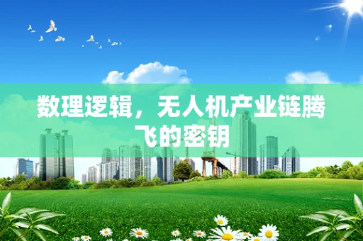 数理逻辑，无人机产业链腾飞的密钥