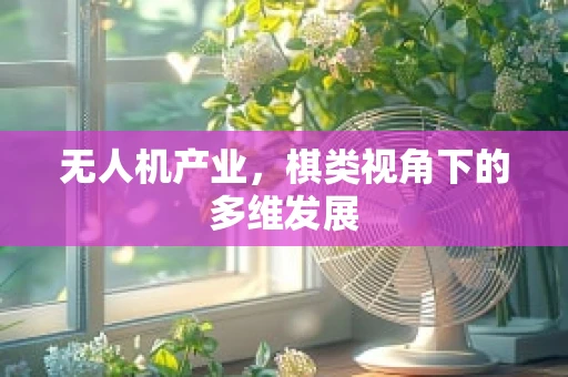 无人机产业，棋类视角下的多维发展