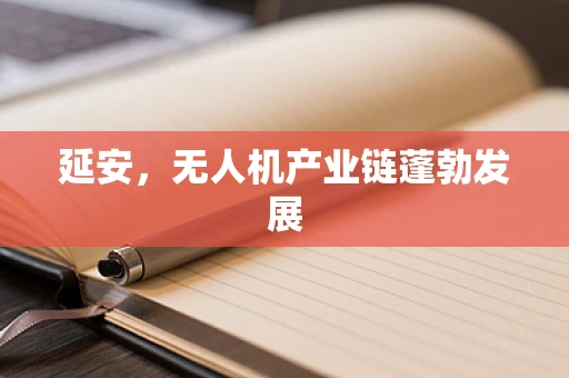 延安，无人机产业链蓬勃发展