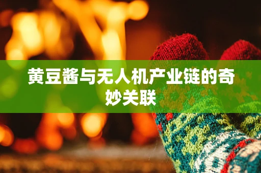 黄豆酱与无人机产业链的奇妙关联