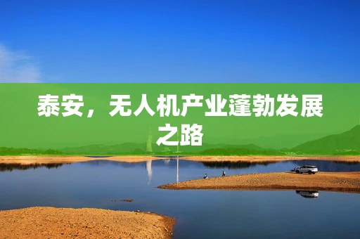 泰安，无人机产业蓬勃发展之路