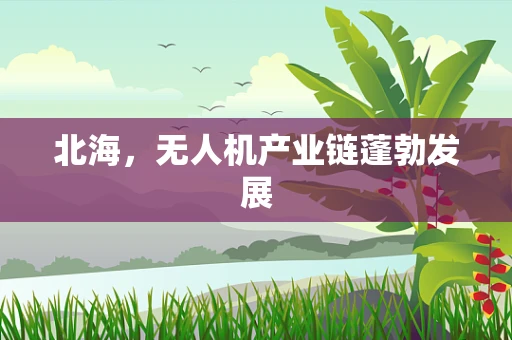 北海，无人机产业链蓬勃发展