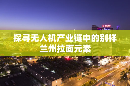 探寻无人机产业链中的别样兰州拉面元素