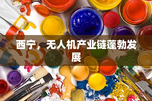西宁，无人机产业链蓬勃发展