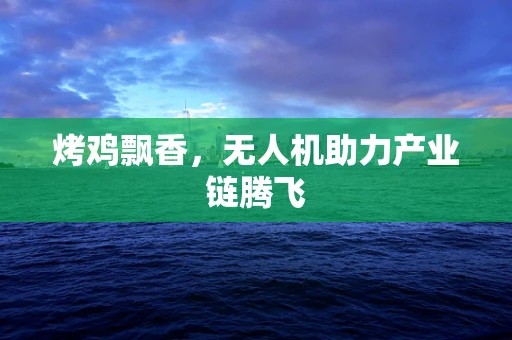 烤鸡飘香，无人机助力产业链腾飞