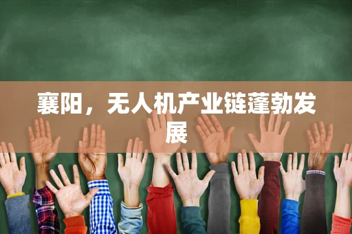 襄阳，无人机产业链蓬勃发展