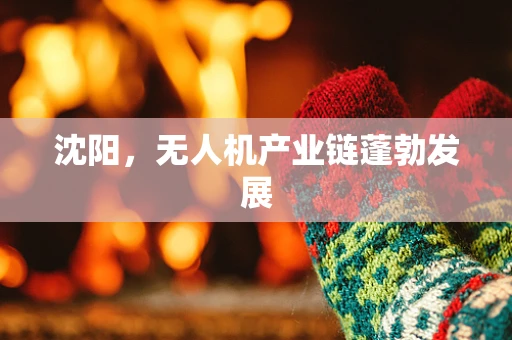 沈阳，无人机产业链蓬勃发展