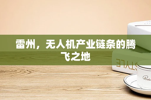 雷州，无人机产业链条的腾飞之地