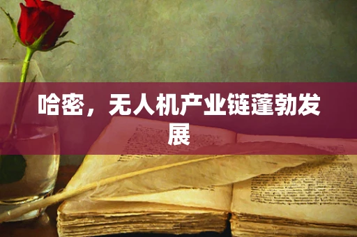 哈密，无人机产业链蓬勃发展